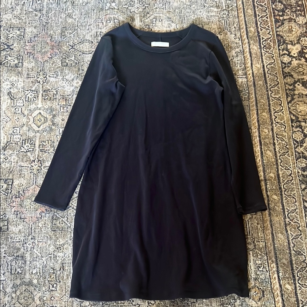 Everlane Black Long Sleeve Dress
